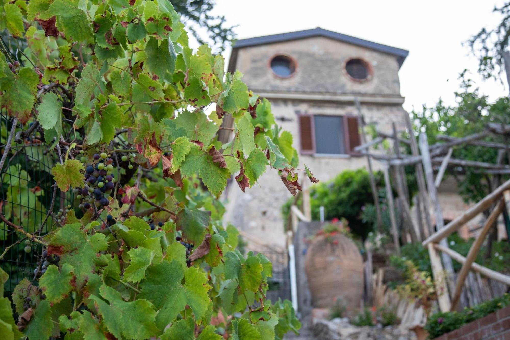 Il Melograno In Costa D'Amalfi - Romantic Experience Vietri Luaran gambar